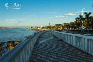 环岛路：漫步海岸线， 感受海风轻拂