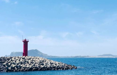 济州岛自由行到底该玩几天？看完这篇你就懂了（才怪）