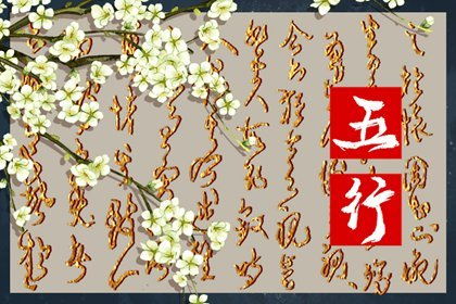 怎么确定金木水火土命,如何判断金木水火土型人