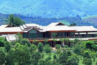 景迈古茶季，千年茶山邀您品鉴打卡