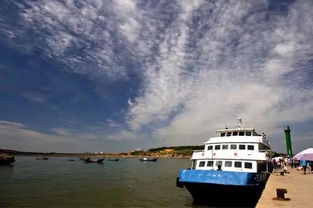 穷鬼の生存狂想曲