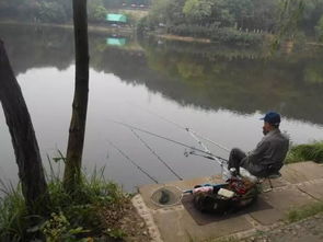 惯与文瀛湖的一些碎碎念