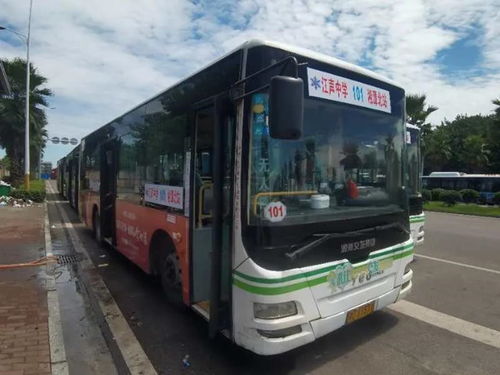 车厢里的惊喜：从站台到景点的无缝衔接（真的无缝吗？）