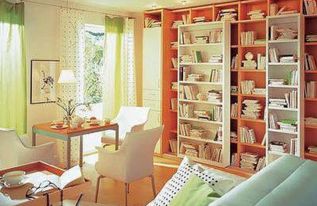 三、 风水植物与奇葩摆件（别太认真）