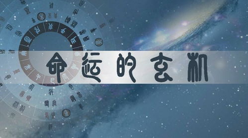 1. 寅申巳亥更多：喜炎热爱四处走动