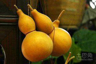 葫芦怎么摆放才正确？