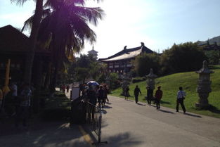 七、  烫带园林：漫步绿意盎然的仙境，蚊子有点多