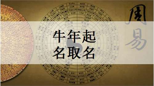 2025年给孩子起名，白姓和邹姓有哪些字适合用作名字？