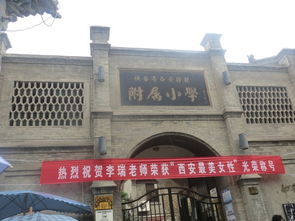 上午：濮阳博物馆——穿越时空的窗口