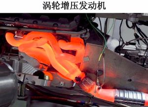 三、乱入情绪——恼怒、喜悦、惊恐交叉进行时！