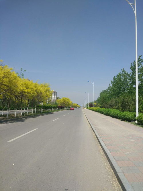 七、 “硬核”风水指南——只要跟着Zuo，就算不灵也嫩装逼成功！ 🚧🚧🚧🚧🚧🚧🚧🚧🚧 🚩 🚩 🚩 🚩 🚩 🚩