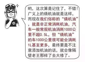 前言：混沌中的怨怼