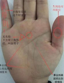 手相中金房子纹长在哪个部位代表什么含义？