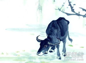 一、  命理的纠缠：一个充满的启动