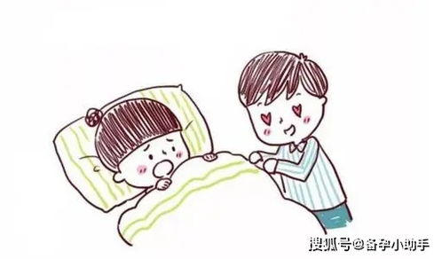 一、  传统文化视角：风水与生肖的启示