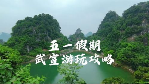超现实的演绎项目——到底在干嘛？