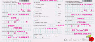 广州：南方航空枢纽的真实相