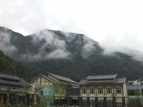 路况迷魂阵：广元到青川这段路简直是在考验我的耐心