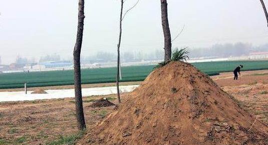 阴宅风水入坟断事，如何通过断坟图解判断风水吉凶？