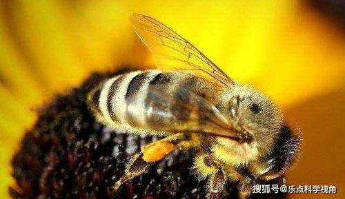 一个老窑主的怪事