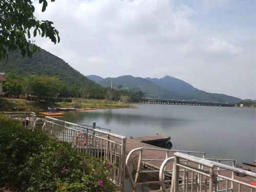 四、生态旅行的崭新亮点