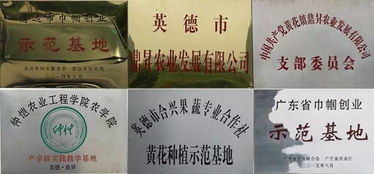 二、无障碍旅行这事儿靠谱吗？