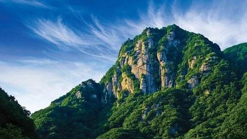 一、单人门票：65元的“成人”与30元的“学生”到底谁更贵？