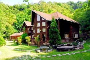 2. 当地民宿老板张姐教我的“三月生存法则”：