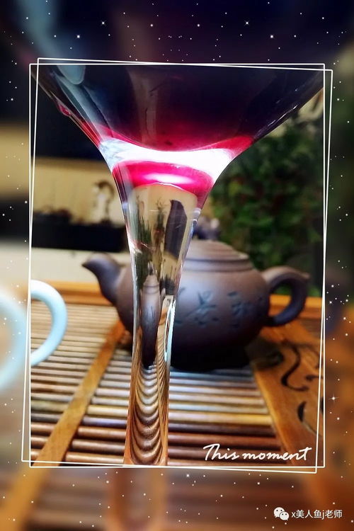 第六章：星座与阴阳交错