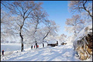 哪些是雾凇？一个冰雪奇观