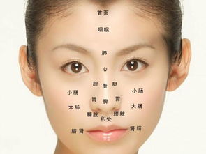 什么是“气”？