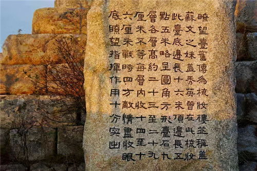 肥城春秋遗址——一场时光的迷魂阵