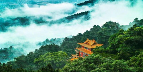 西山初印象：有点乱单是有味道