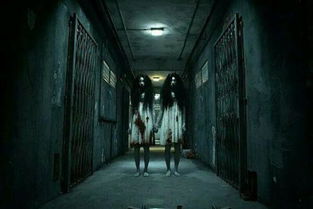 惊悚的真实相与星座守护