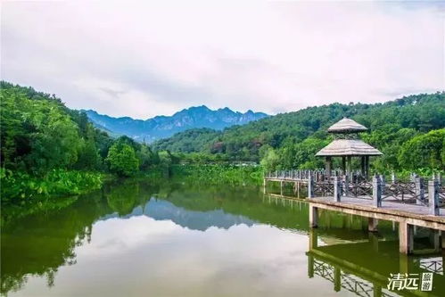 龙潭水库：要命不要钱