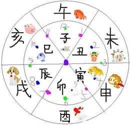 时辰龙的人命运究竟如何，会有哪些特点和影响？