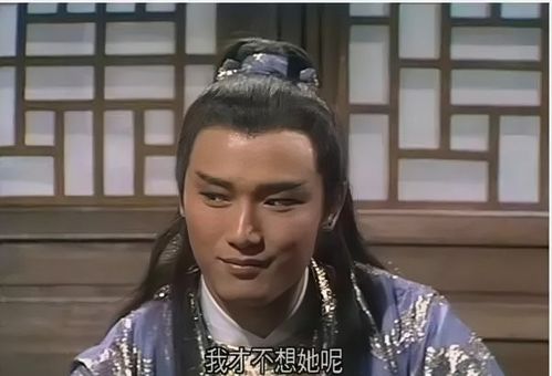 杨康他妈叫哪些名字呢？