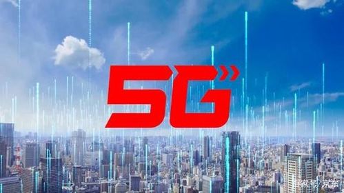 线上交易， 创新风向标——噪声里的新机遇