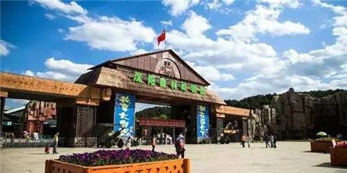 2. 沈阳森林动物园——动物狂欢 + 雪地打滚（请勿模仿）