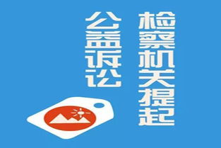 公益诉讼怎样精准实施，才能更有效地保障公共利益？