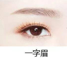 女生面相眉毛能挂掉是什么意思？