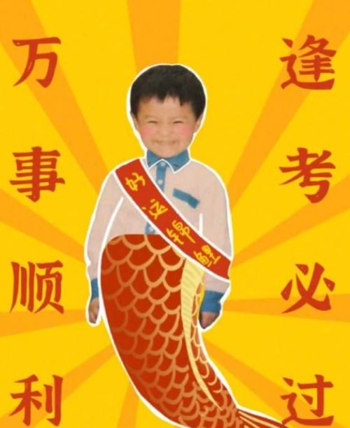 何庚泽姓名得分解析