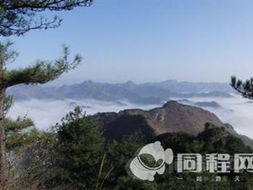 九龙山门票价格到底是个啥子玩意儿？