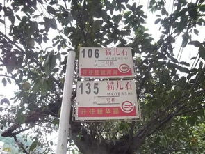 五一猫儿石景区门票抢购乱七八糟指南