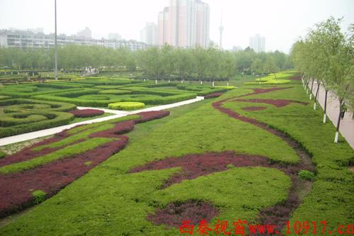 这个公园有毒！