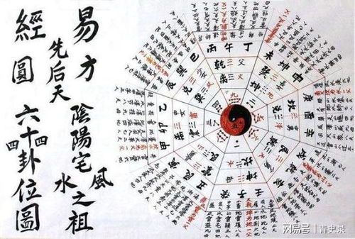属兔今日占卜吉凶，经典算卦如何解读，能否详细解释一番？