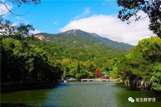第三站：景峰山庄——山庄里藏着“隐藏菜单”