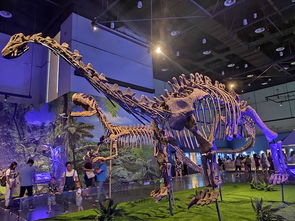 染后：吃喝玩乐全方位攻略