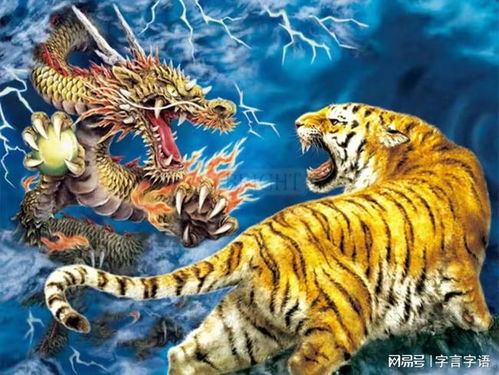 龙争虎斗的生肖是什么？打一生肖嫩表达龙虎相斗的意象吗？