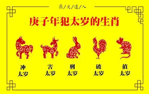 2026年5月17日好运生肖排名榜，你属哪一位？